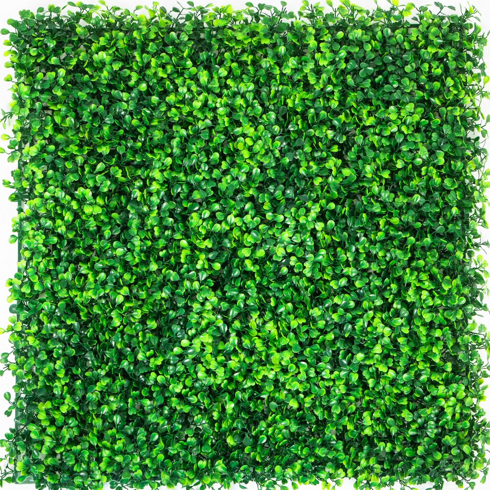 Artificial Boxwood Panels 14-Pack 50.8x50.8cm Hedge Wall Panels Indoor Outdoor