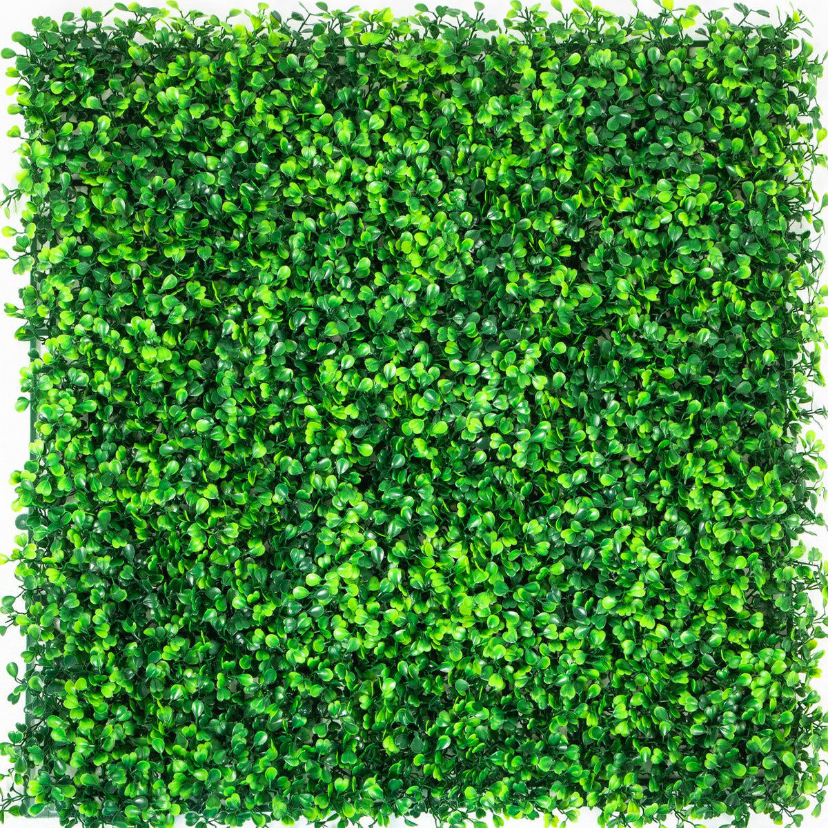 Artificial Boxwood Panels, 20-Pack 20"x20" Hedge Wall Panels for Indoor Outdoor