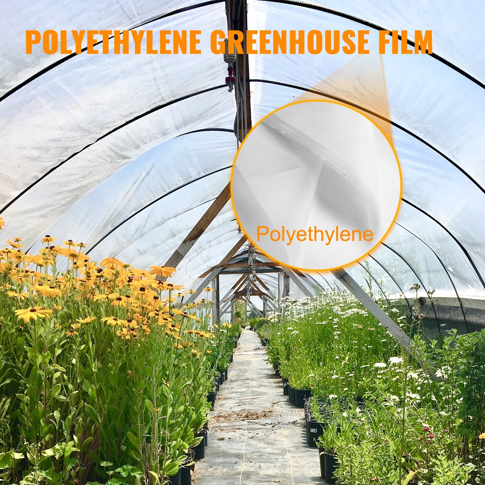 Greenhouse Film, Polyethylene 20x28 ft, Greenhouse Plastic Cover