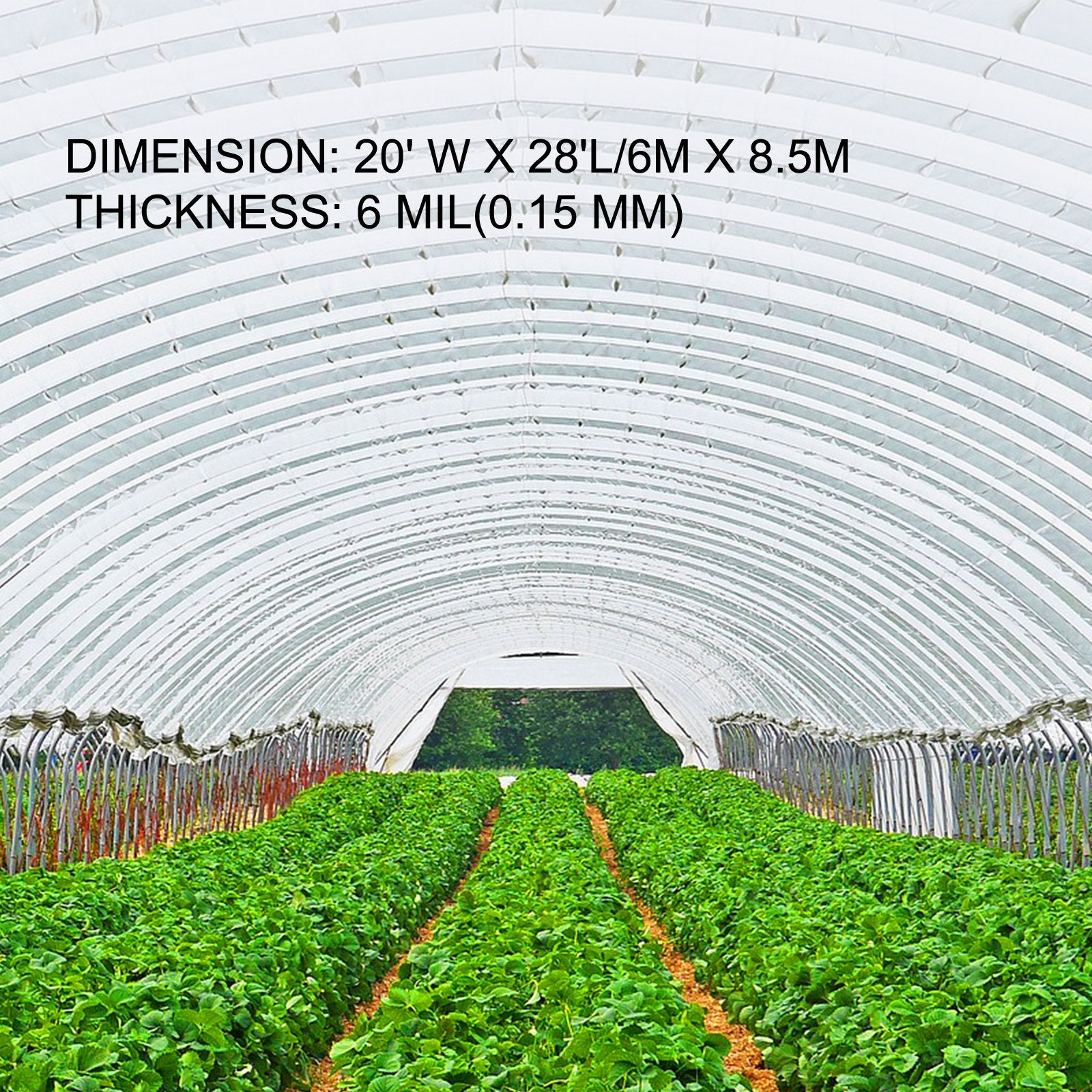 Greenhouse Film, Polyethylene 20x28 ft, Greenhouse Plastic Cover