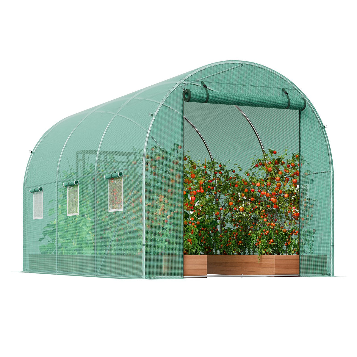 Walk-in Tunnel Greenhouse 11.3x6.4x6.3 ft, Roll-up Door, 6 Windows