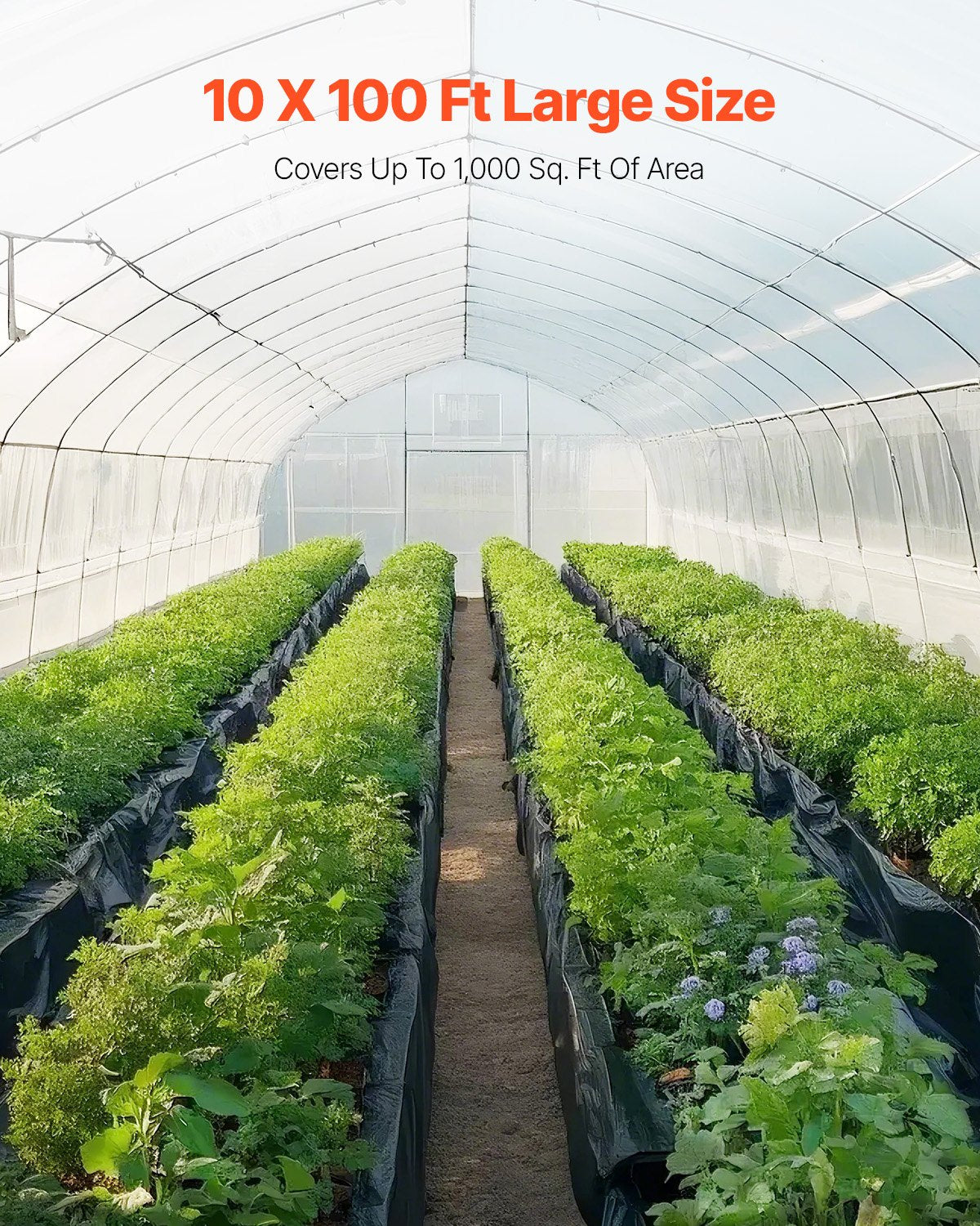 10' x 100' Heavy Duty Plastic Sheeting 6 Mil Thick and Double-Sided
