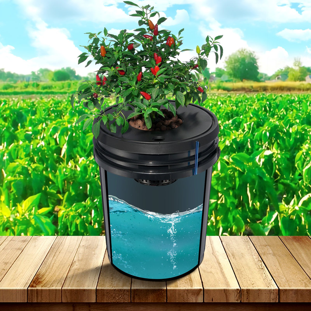 DWC Hydroponics Grow System 5-Gallon 4 Buckets Deep Water Culture with Air Pump