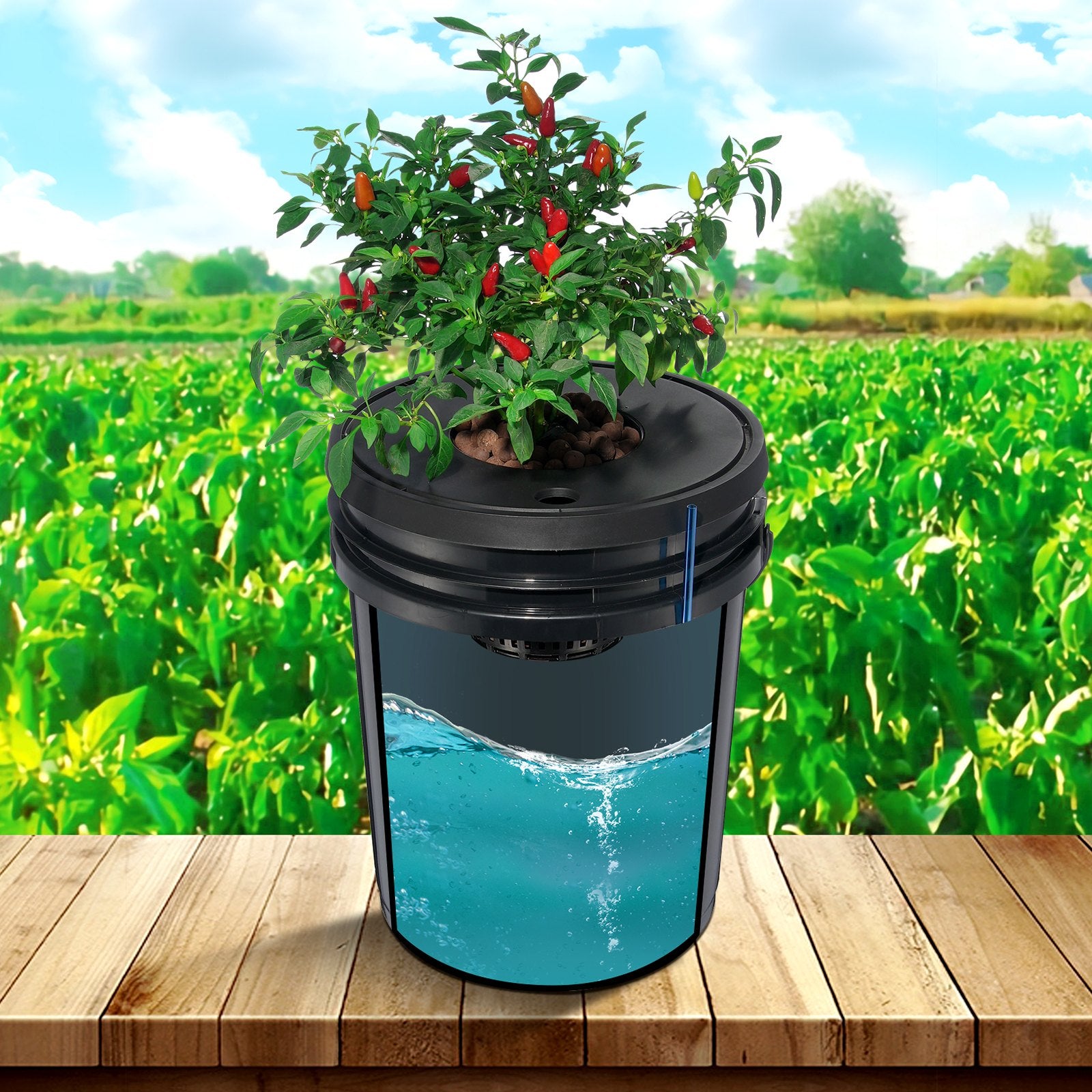 DWC Hydroponic Grow System 5-Gallon 8 Buckets Deep Water Culture Air Pump