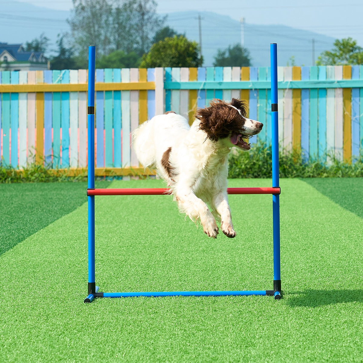 Dog Agility Training Set with Hurdles, Weave Poles, Jump Ring, Pause Box