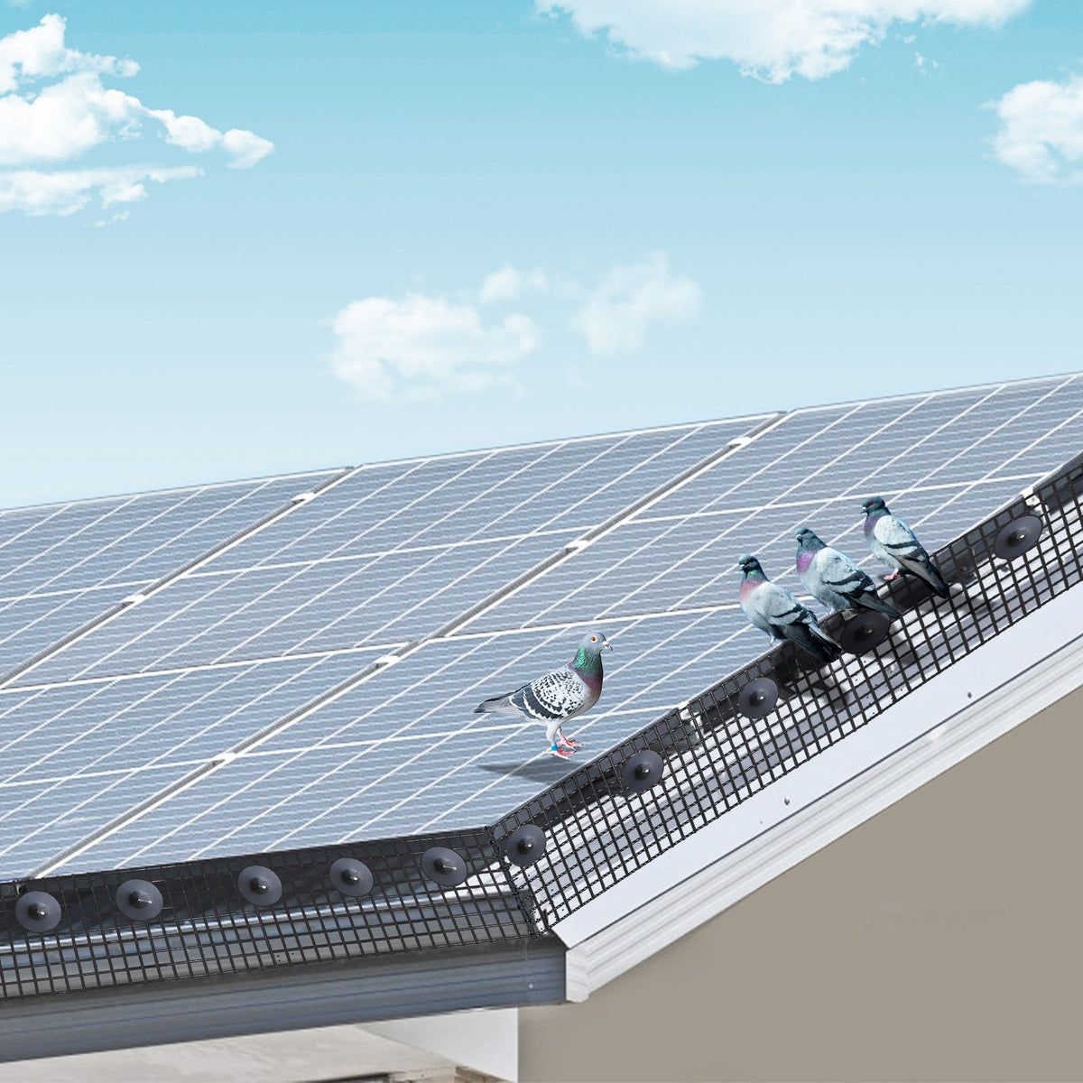 Solar Panel Bird Guard 6x100ft Critter Guard Aluminum Fasteners PVC Coating