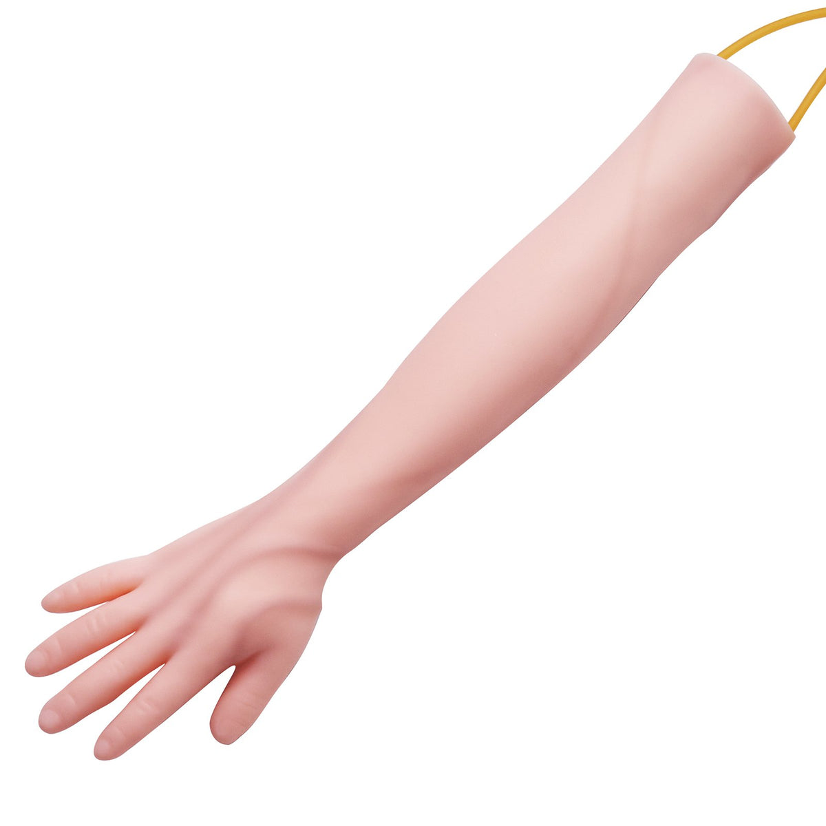 IV Venipuncture Practice Kit Simulation Arm Carry Bag Nurses Students Pros