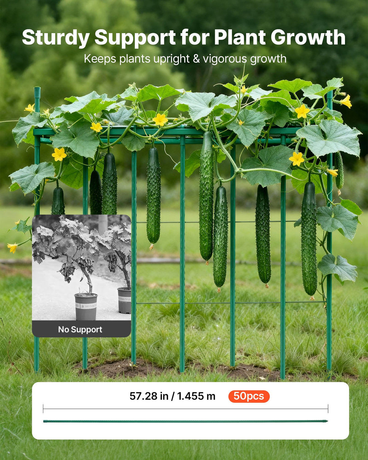Garden Stakes 50 Pack 1455mm Plastic-Coated Metal Tomato Stakes Pointed Ends