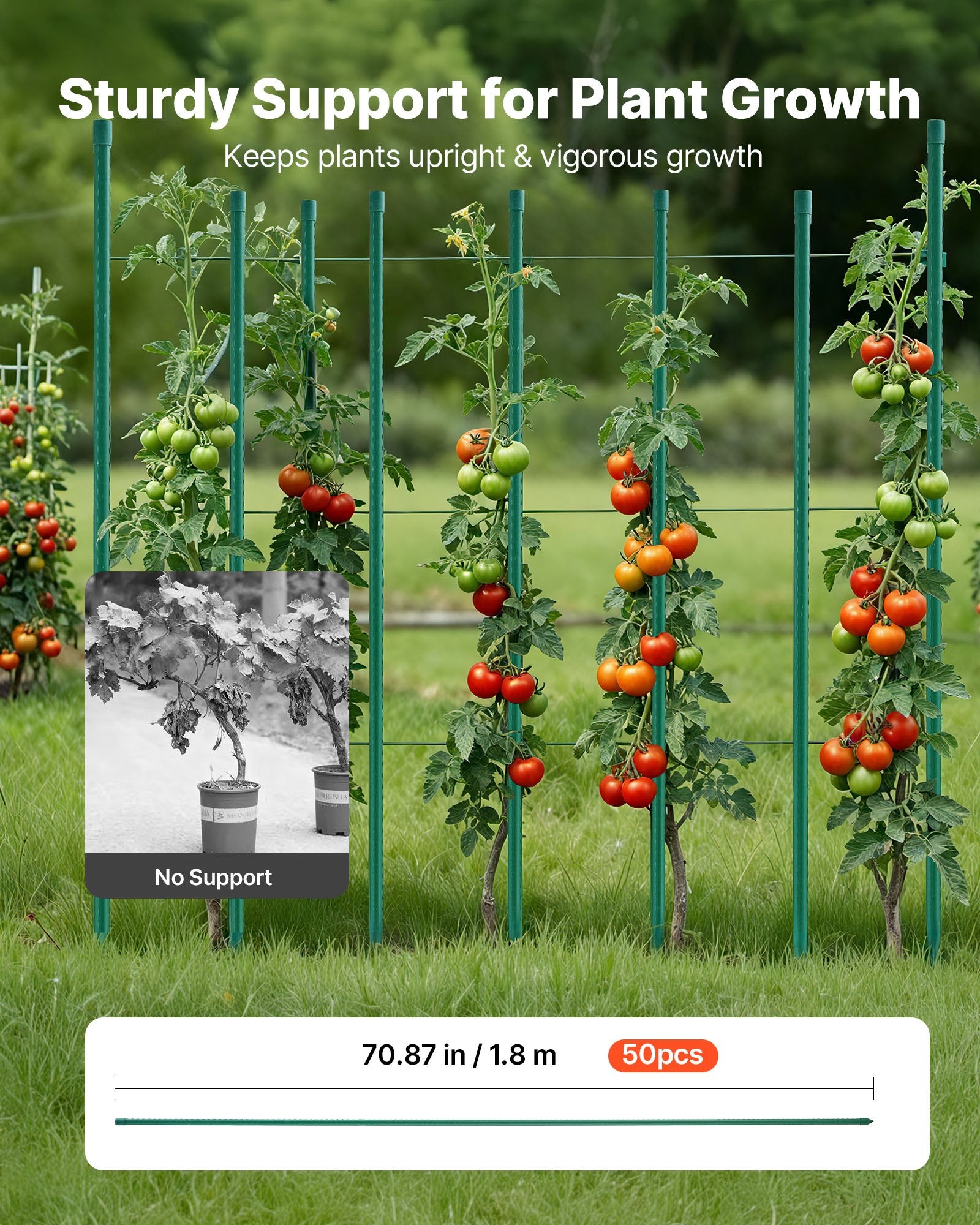 Garden Stakes 50 Pack 1800mm Plastic Coated Metal Tomato Plant Support Sticks