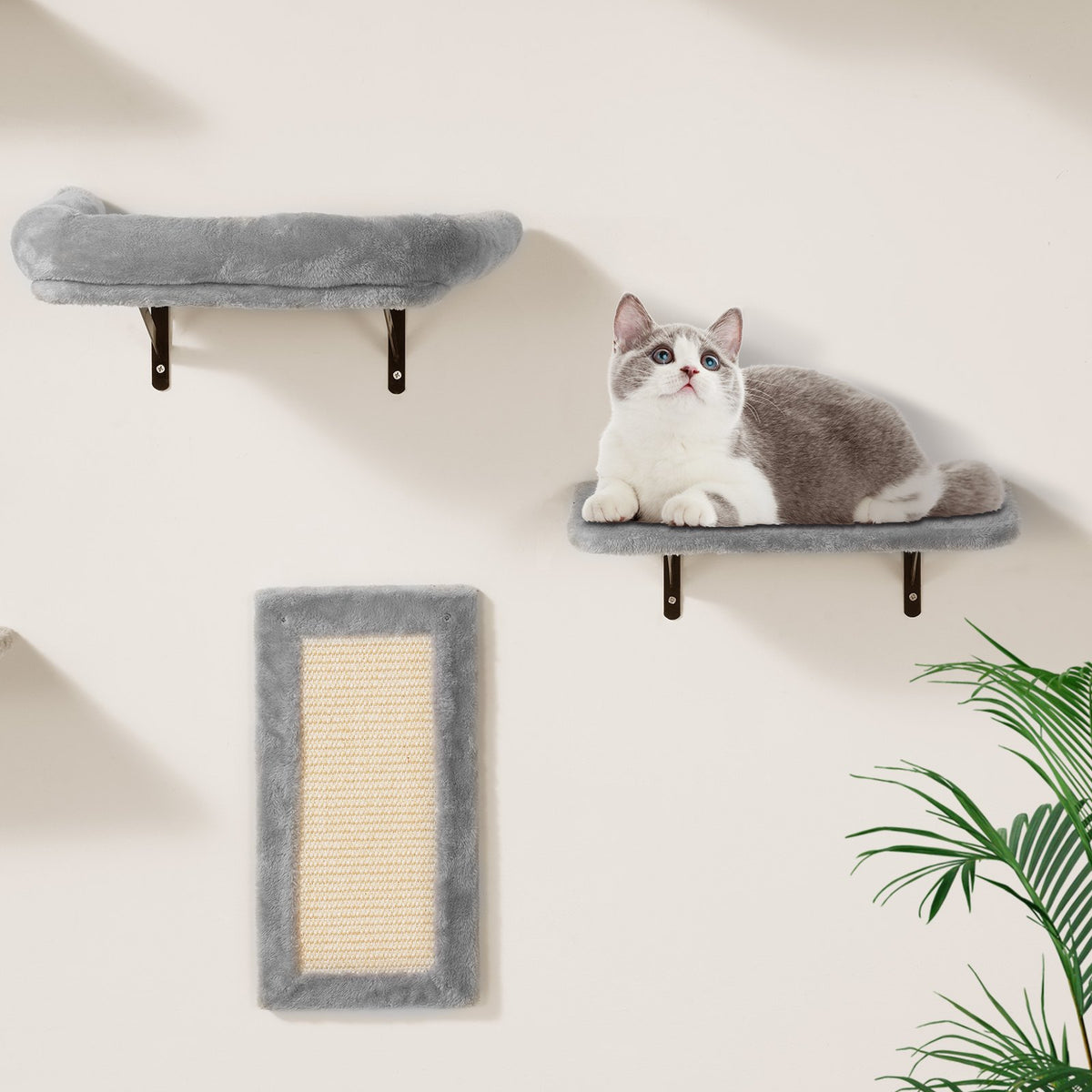 Wall Mounted Cat Shelve with Hammock Jump Boards Sofa Cat Tree 6PCS Up to 40 lbs