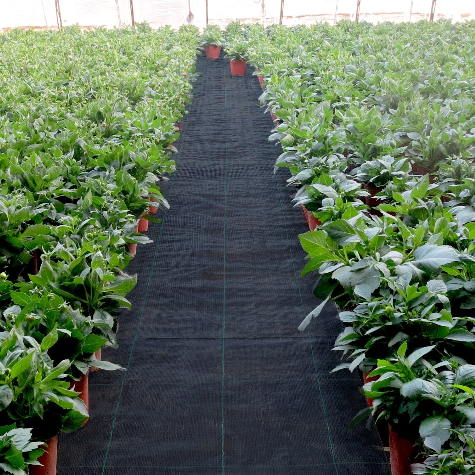 6FT x 300FT Heavy Duty Woven Weed Barrier Fabric High Permeability Ground Cover